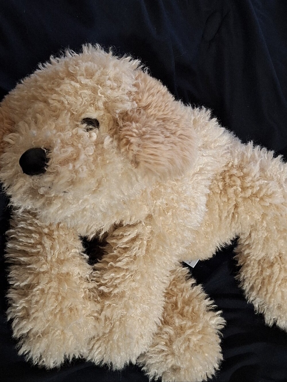 FAO Schwarz Adopt a Pet Curly Plush Squishy Cockapoo Puppy Dog Toby 15" - Picture 8 of 8